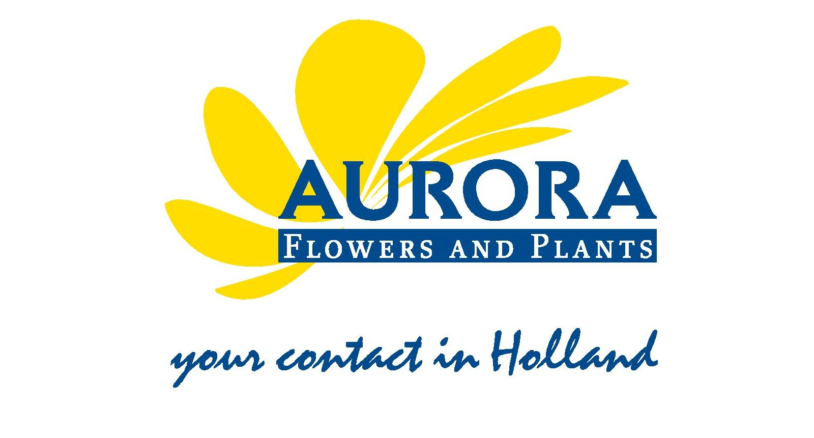 Aurora Flowers